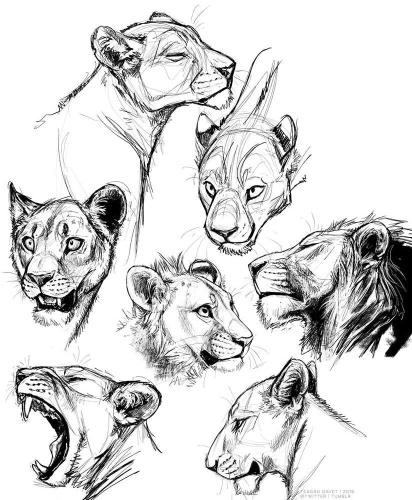 824x1000 Click To Change The View Character Design Animals