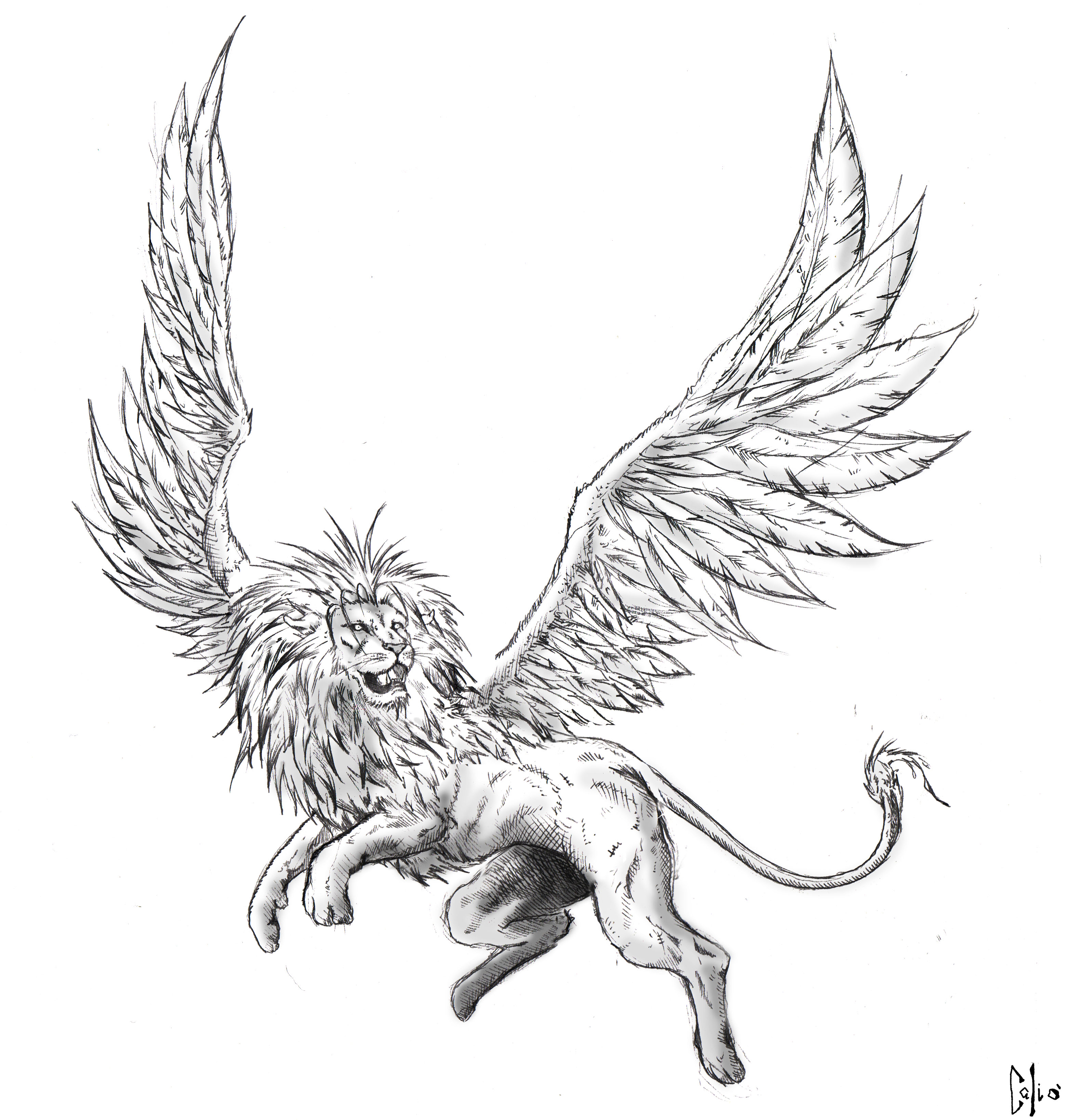 3156x3276 Winged Lion By Draftmanart