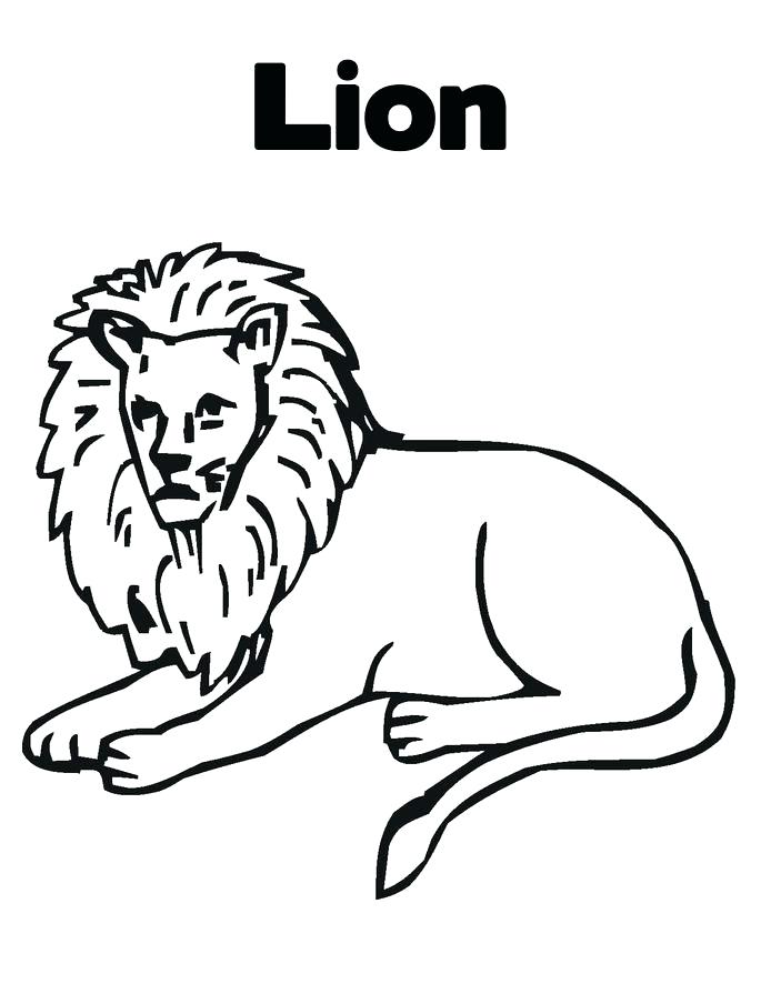 685x886 Lion For Coloring Lion Color Pages Lion Coloring Pages Printable