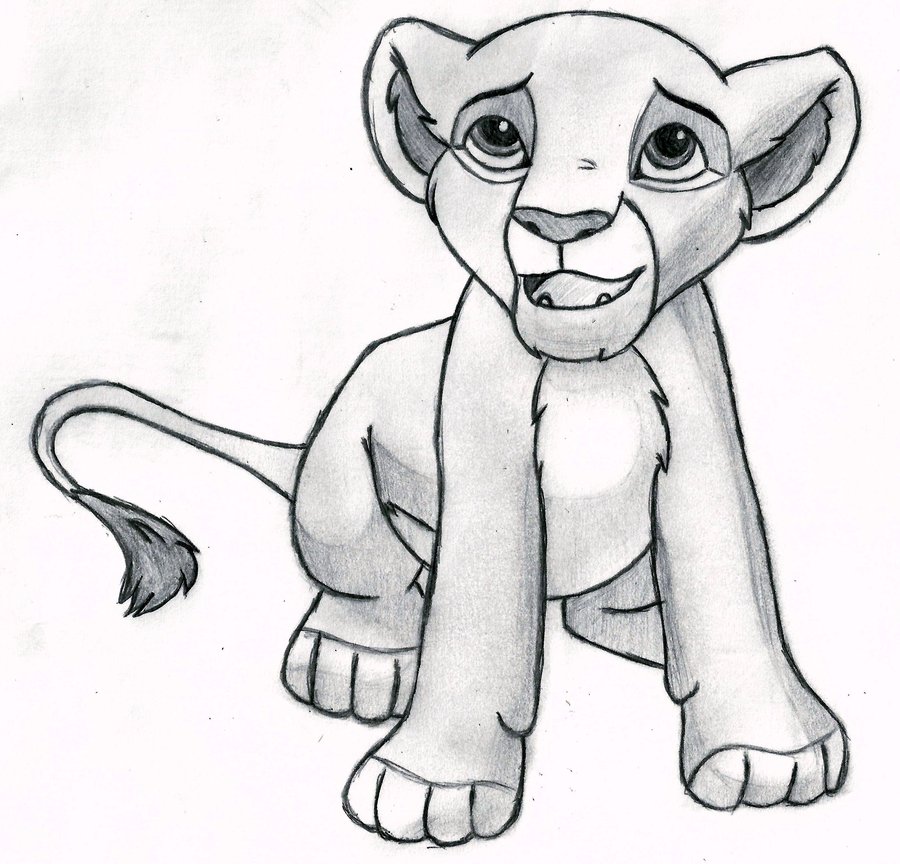 900x864 The Lion King Drawing Tutorial Tags The Lion King Drawing Autumn