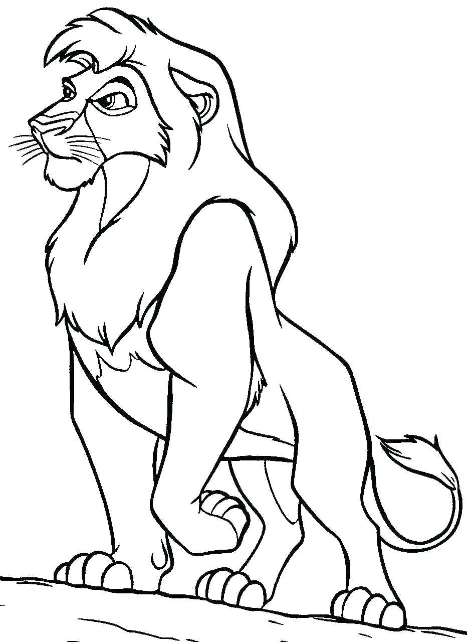 932x1280 Coloring Sea Lion Coloring Pages Full Size Of Printable Drawing