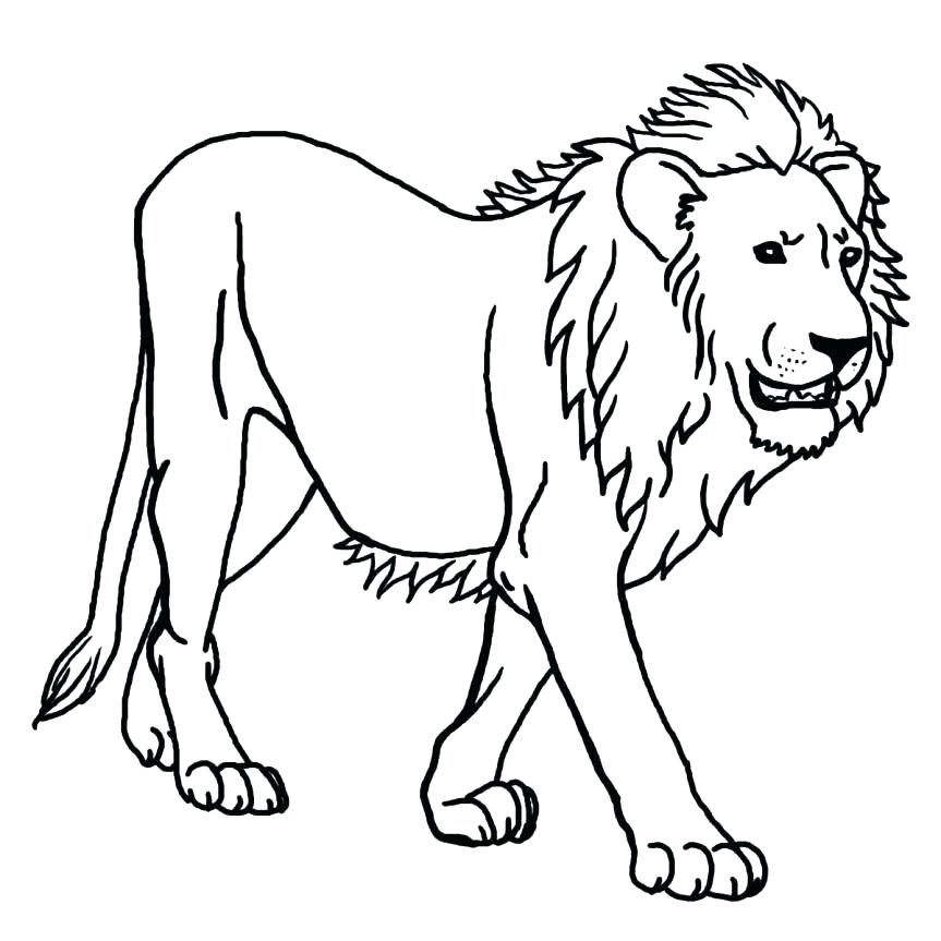 863x863 Coloring Pages Draw A Lion For Kids Affan