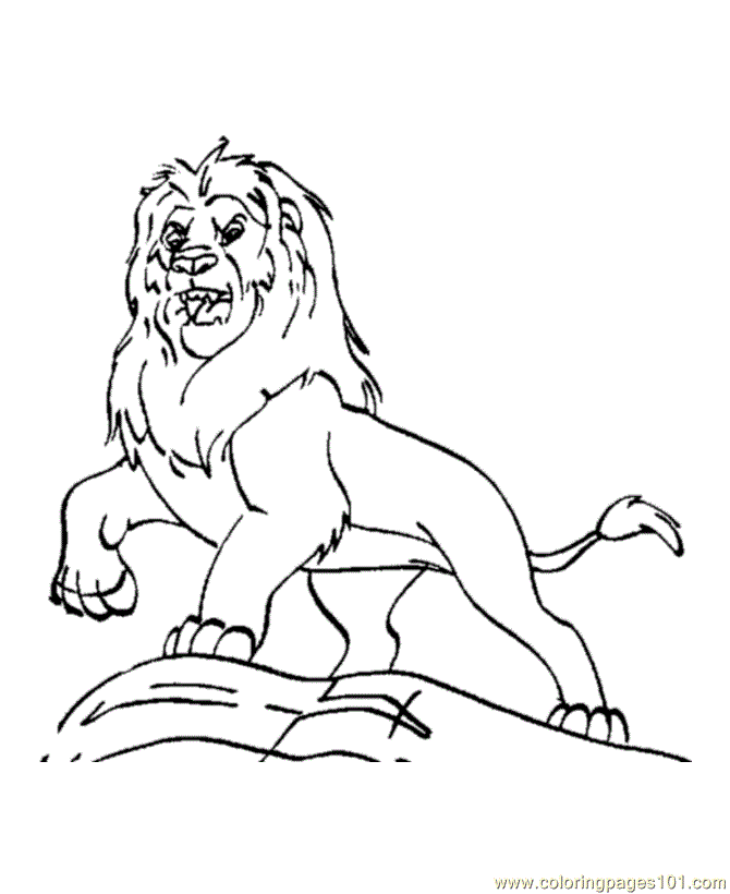 670x820 Lion Coloring Pages