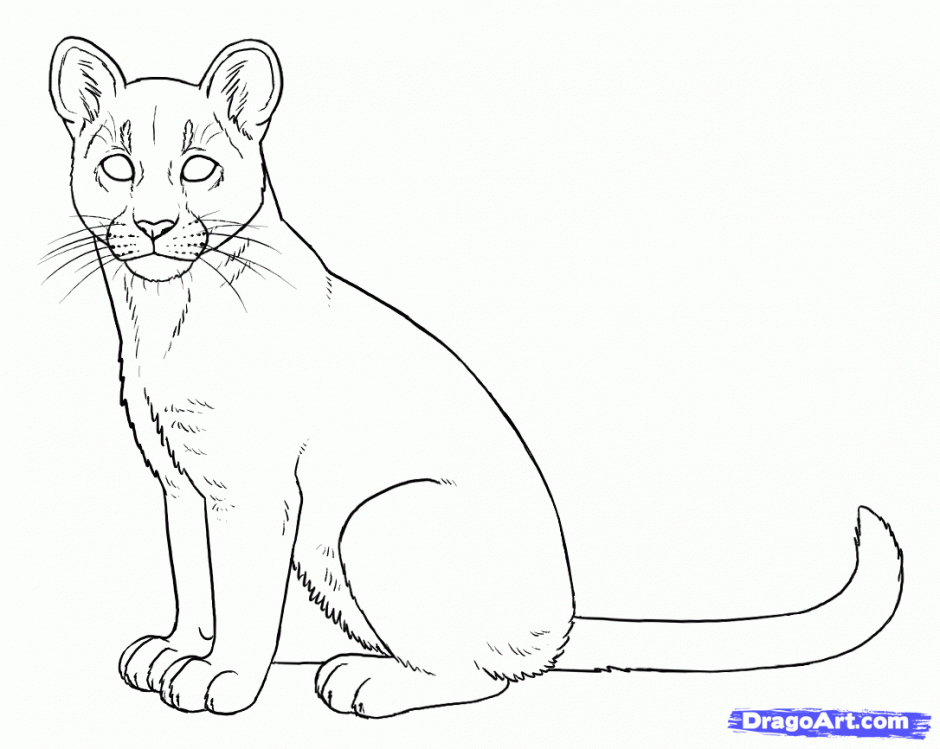 940x749 Mountain Lion Cubs Coloring Pages Lion Cub Coloring Book Pages