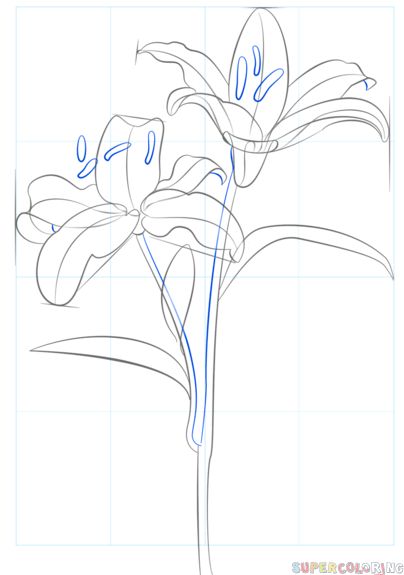 404x575 The Best How To Draw Tiger Ideas On Draw Animals