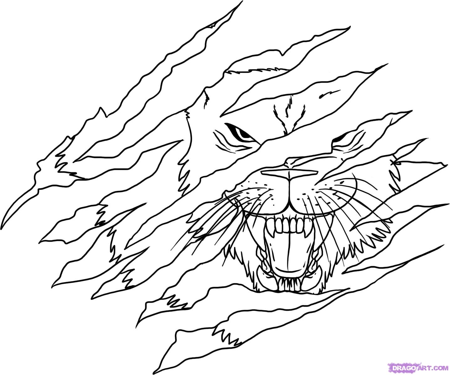 1436x1198 How To Draw A Tattoo Lion Tattoo Lion Step 13 Lion Line Drawing