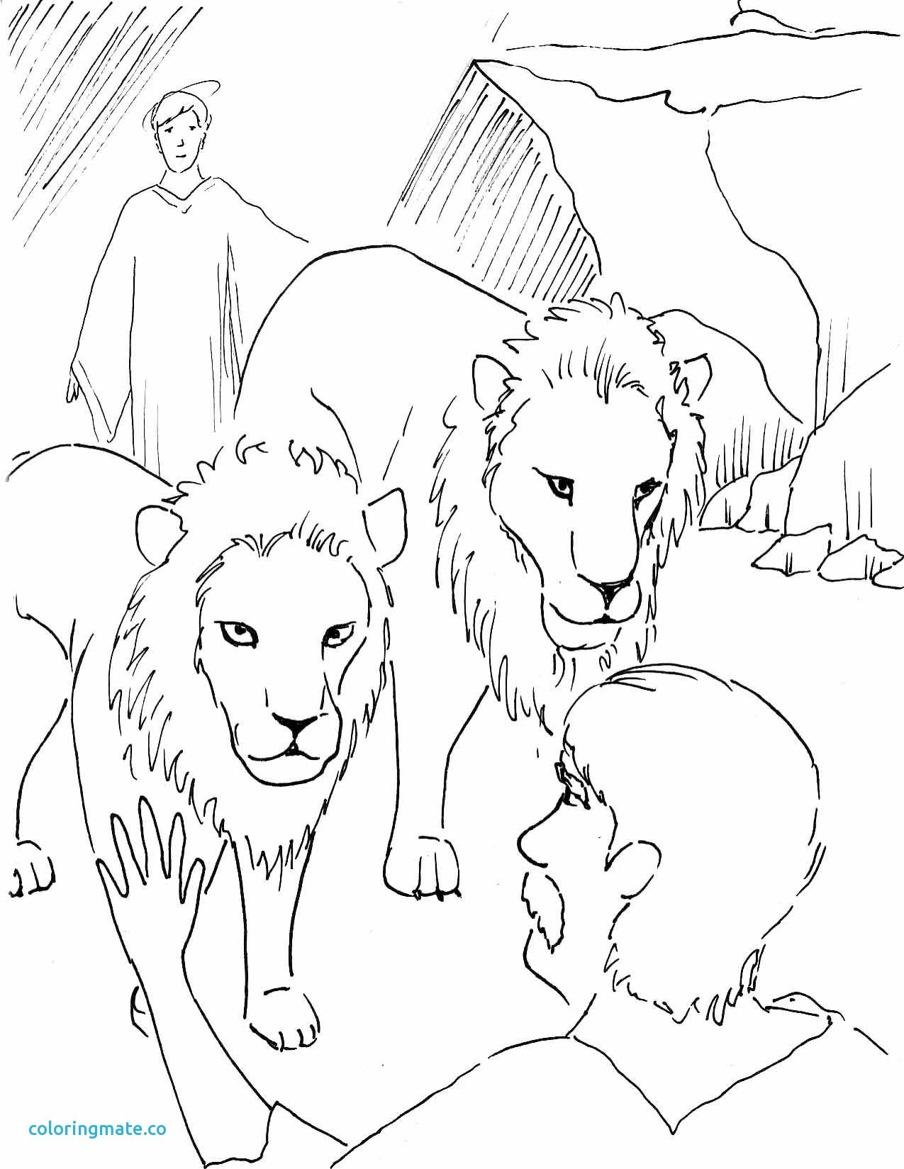 1275x1649 Daniel And The Lions Den Coloring Sheet