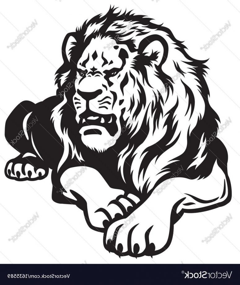 775x923 Hd Lion Drawing Black And White Vector File Free
