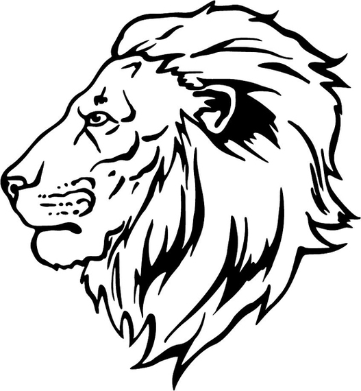 527x570 Lion Drawing Cliparts