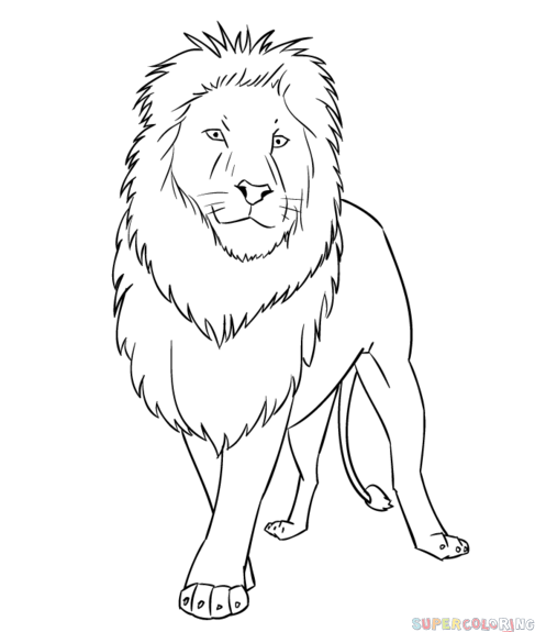 Lion Drawing Black And White at GetDrawings | Free download