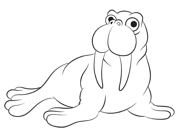 600x450 Cartoon Walrus Step By Step Drawing Lesson