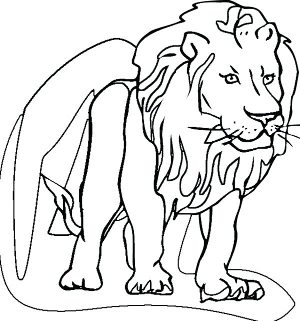 600x641 Lion Picture To Color Lion Coloring Page For Kids Lion And Lamb