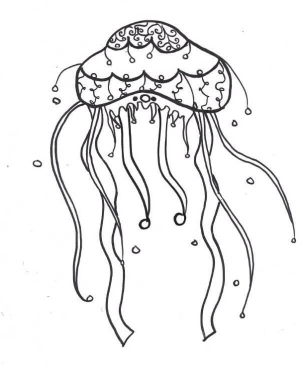 600x744 Lions Mane Jellyfish Coloring Page