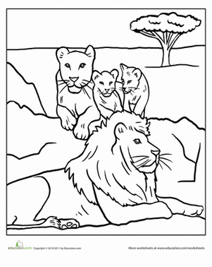 301x378 Color The Lion Pride Worksheet