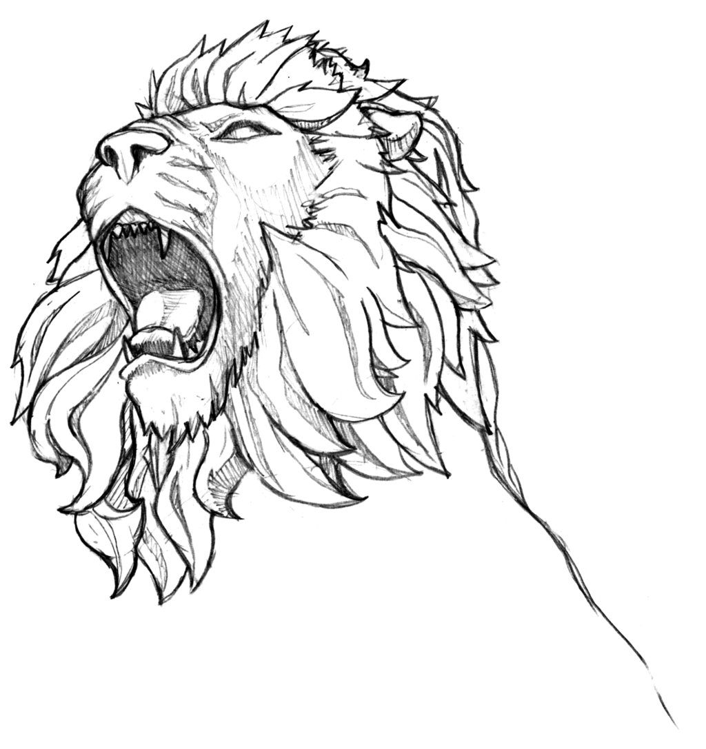 1024x1087 Easy Lion Drawing Tumblr