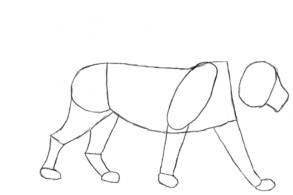 1024x682 How Draw A Lion Lion How To Draw A Lion Easy Step Step Youtube