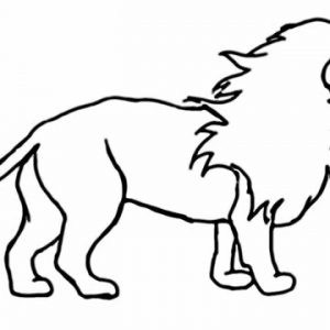300x300 Lion How To Draw A Lion Easy Step By Adult
