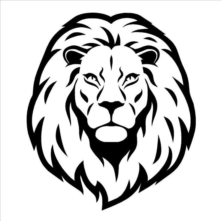 736x736 Photos Easy Lion Face Drawing,