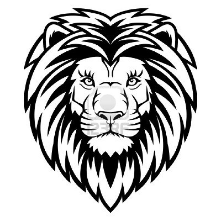 736x736 How To Draw A Lion Head