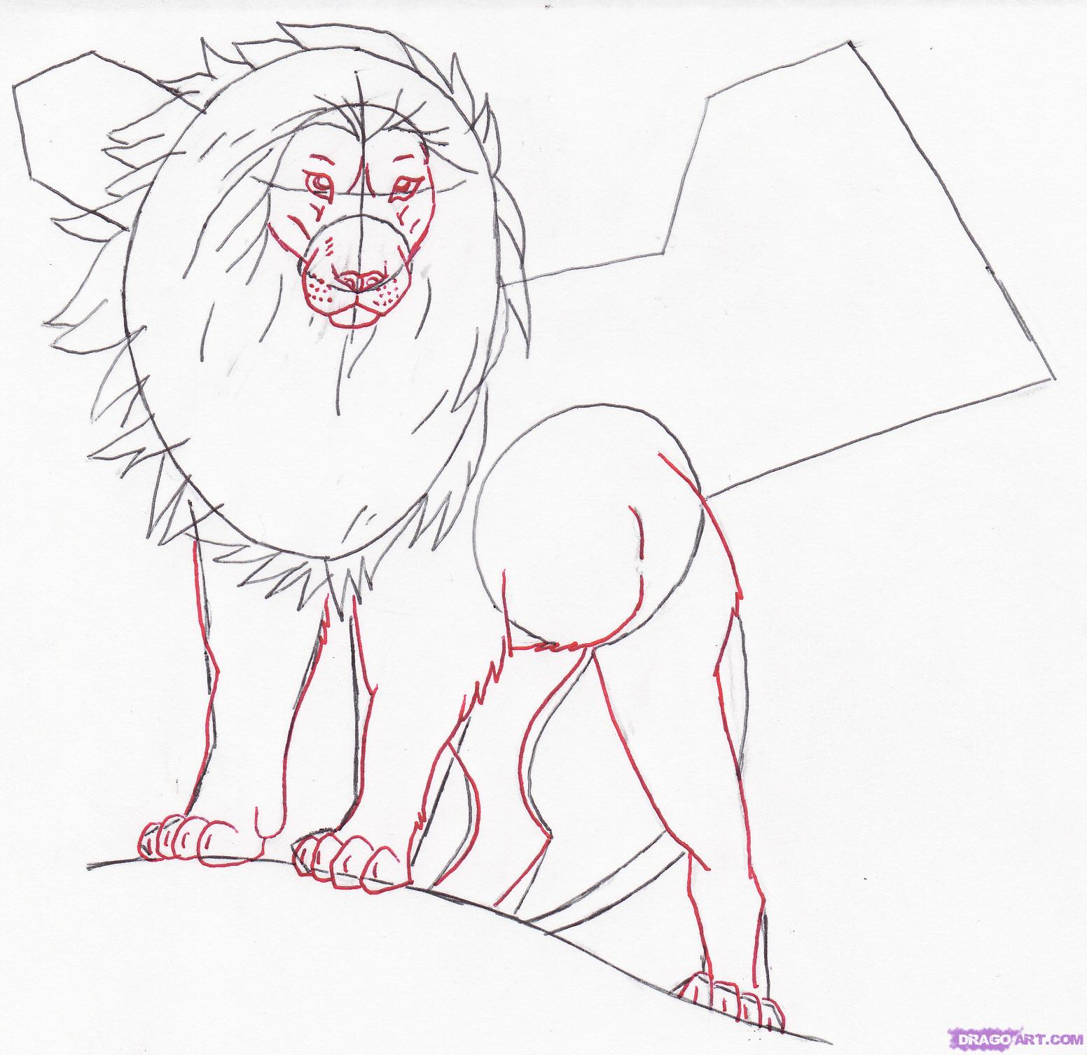 1552x1506 Drawn Lion Wing Sketch