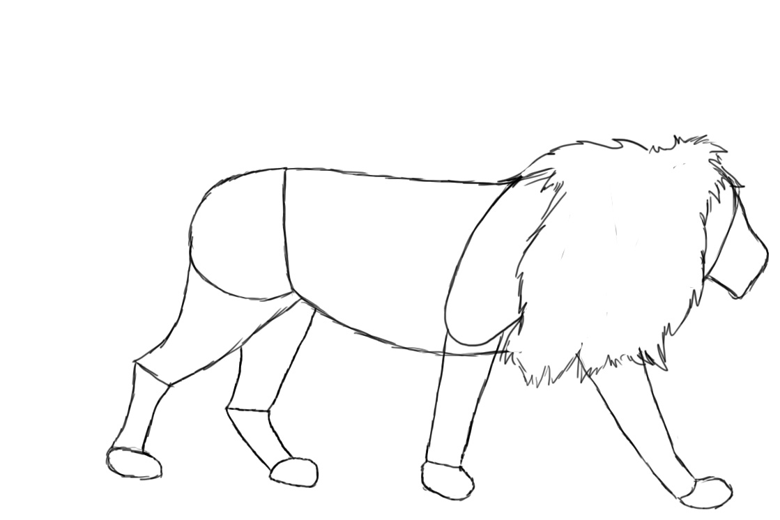 1119x746 How To Draw A Lion