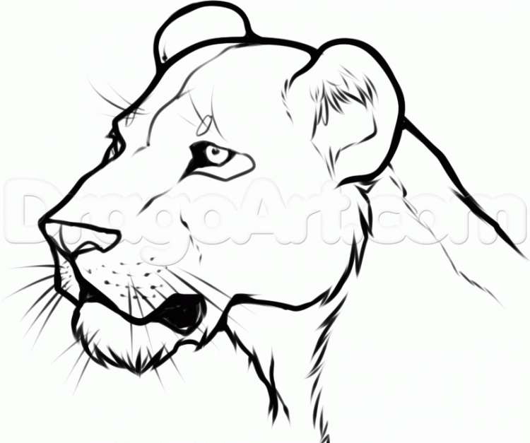 750x627 Coloring How To Draw An Easy Lion Face With How To Draw A Lion