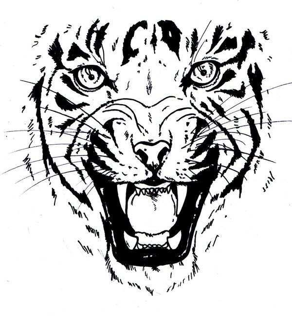 600x651 Tiger Face Stencil Group