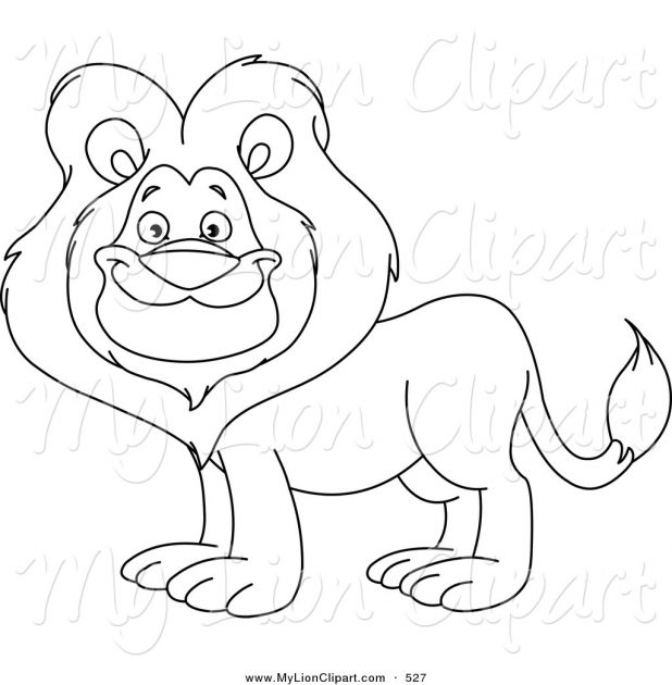 618x630 Adult Lion Drawing Outline Outline Of Lion Head Drawing. Lion