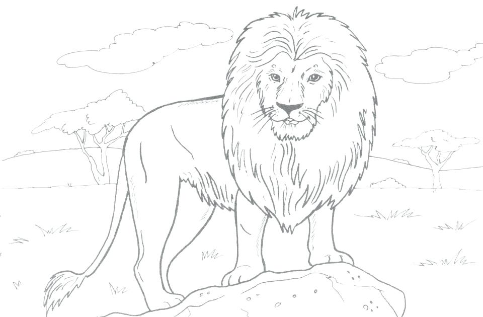 960x630 Awesome Lion Coloring Pages Kids How To Draw A Page Color The King