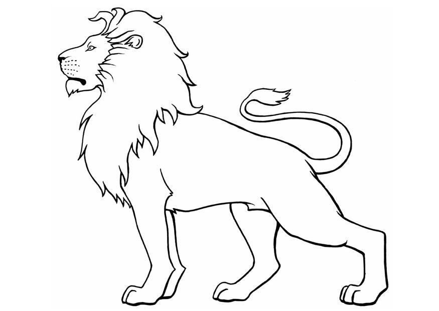 875x620 Free Printable Lion Coloring Pages For Kids