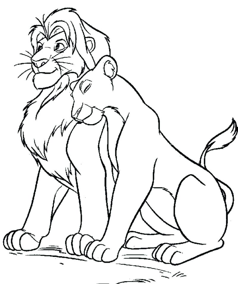 800x954 Mountain Lion Coloring Pages Omnitutor.co
