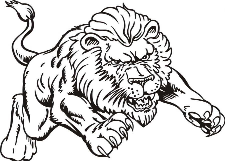 900x645 Lion Coloring Pages Colouring For Good Draw Print Kids Coloring