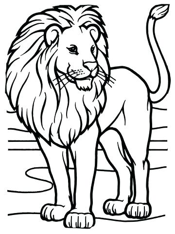 360x480 Lion Guard Beshte Coloring Pages Best Ideas On Free Animal Kids