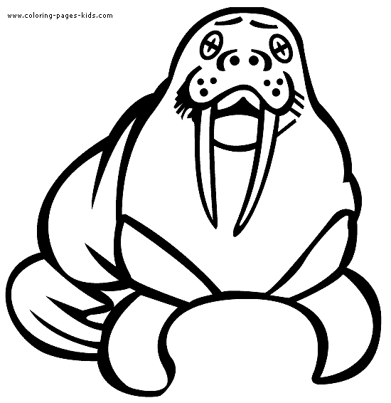 550x566 Sea Lion Drawing For Kids