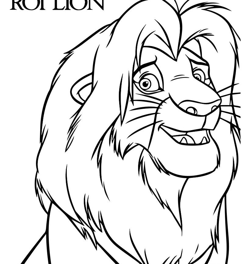 820x864 Lion Head Coloring Pages Free Printable Animals For Adults