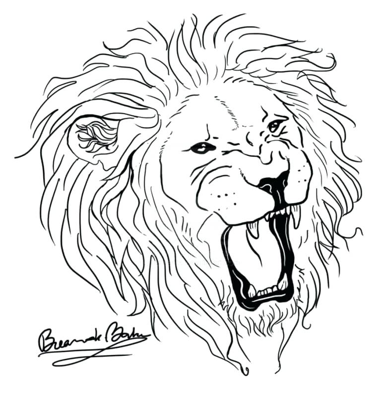 768x806 Lion Drawing Outline
