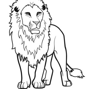 300x300 How To Draw A Lion Coloring Page Color Luna