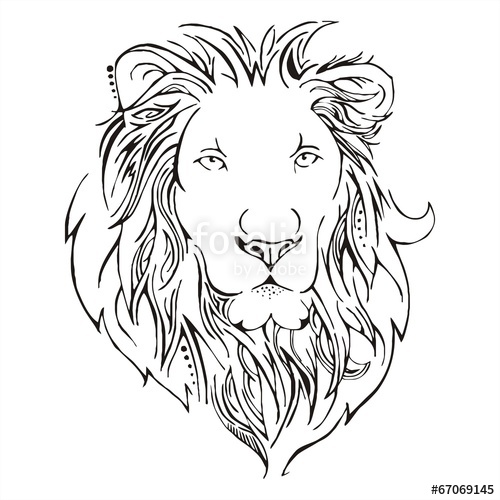 500x500 Lion Head Sketch Vector Stock Image And Royalty Free Vector Files