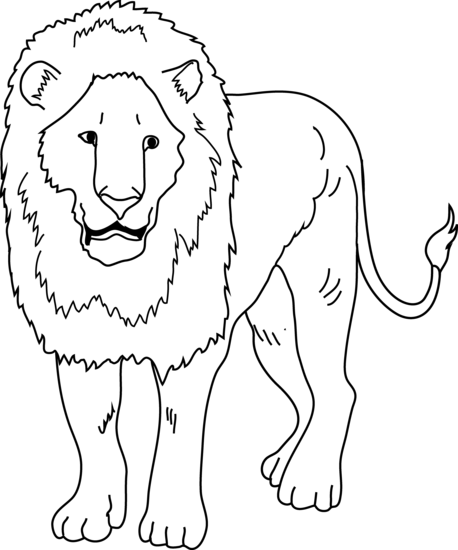 Lion Drawing Outline at GetDrawings | Free download