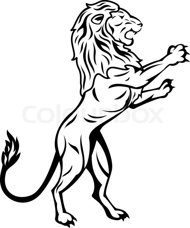 668x800 Outline Angry Lion Tattoo Design In 2017 Real Photo, Pictures