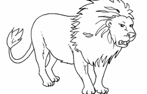 470x300 Outline Drawings For Colouring