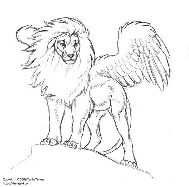 606x600 Drawn Lion Sketch