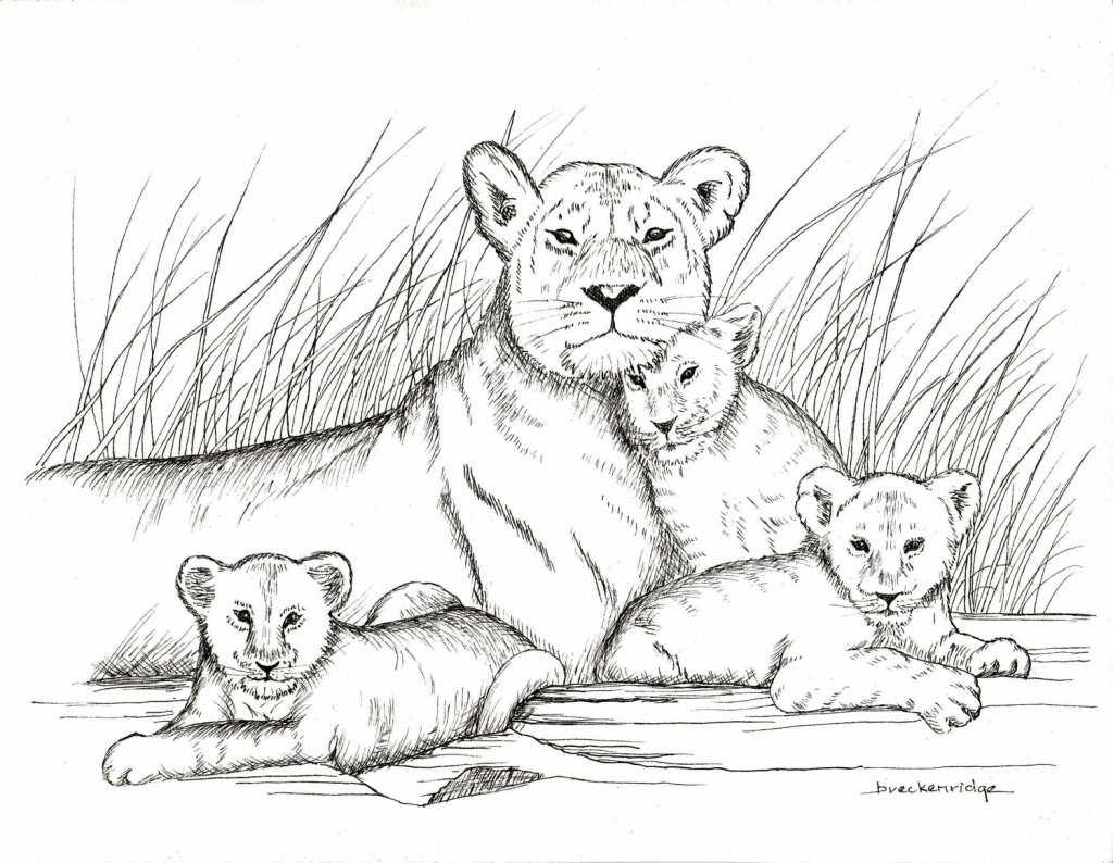 1024x794 How To Draw A Baby Lion Ba Lion Drawing 80298 Dfiles