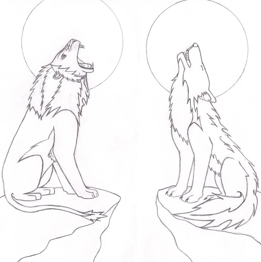 892x895 Roaring Lion And Howling Wolf By Strife6