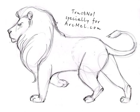 470x376 How To Draw A Lion Step By Step 4 Art Ideas And Tips