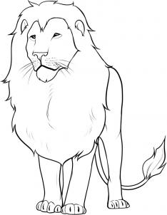 234x302 How To Draw A Lion In 13 Steps How To Draw Drawing