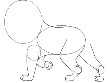 350x265 How To Draw A Lion For Kids