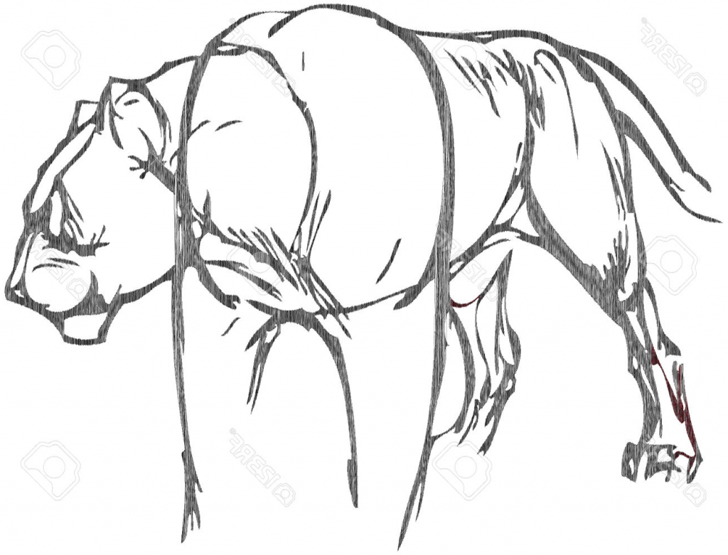 1024x781 Simple Drawing Of A Lion Simple Drawing Of A Lion With Vector