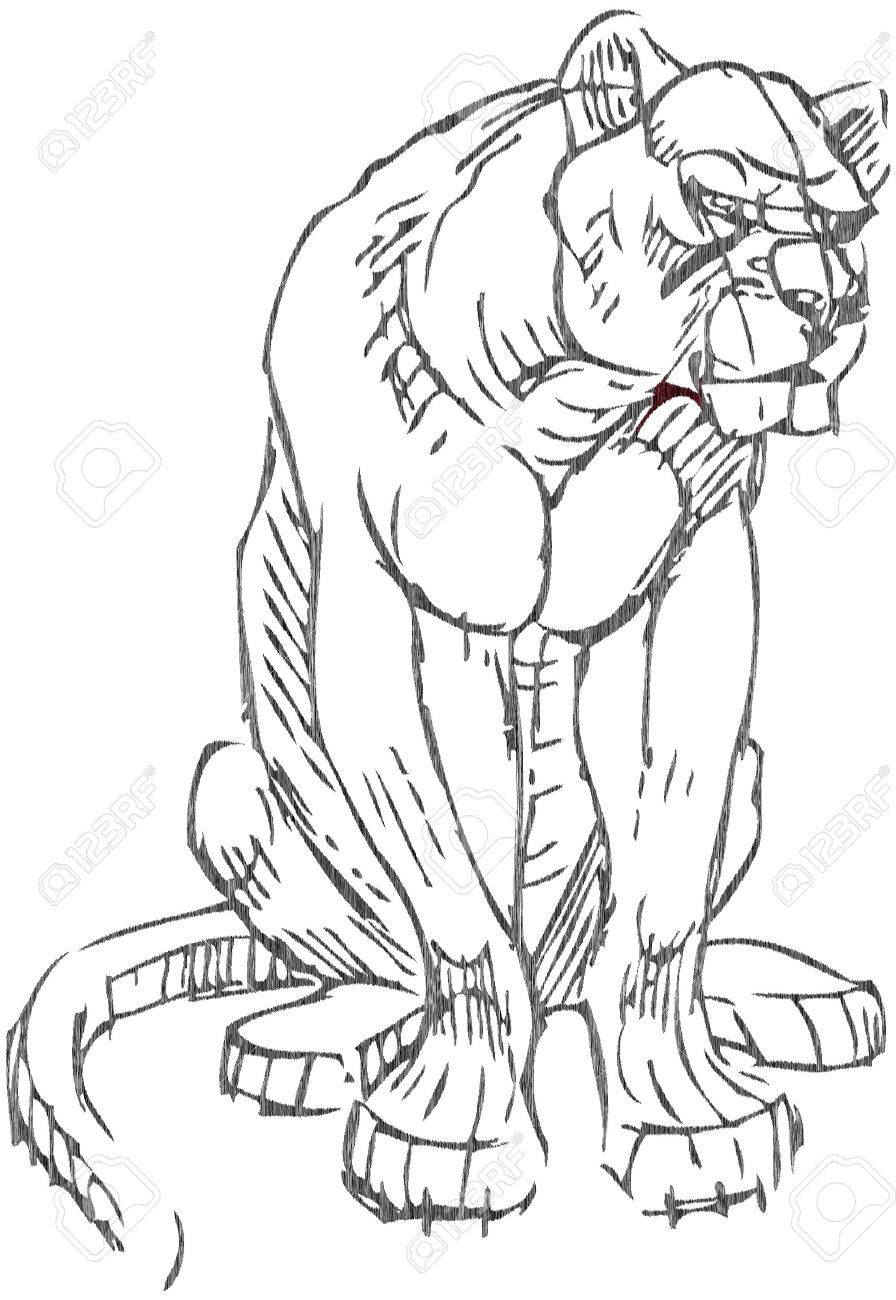 896x1300 Simple Drawing Of A Lion With Vector Effect Royalty Free Cliparts