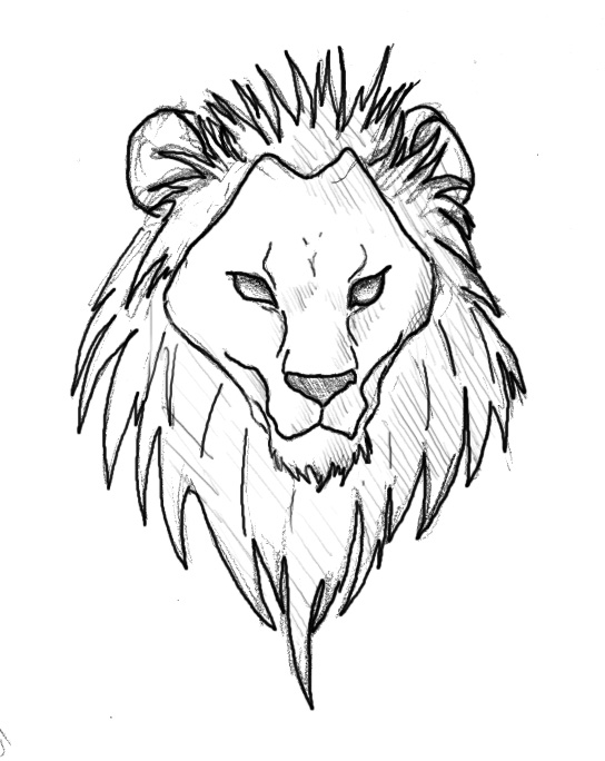 544x684 Simple Lion Face Drawing